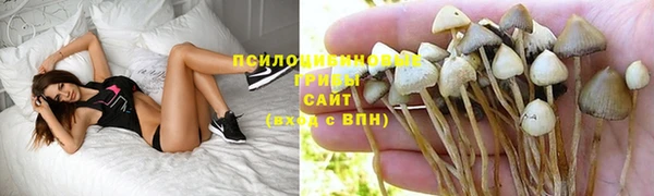 синтетический гашиш Алексеевка