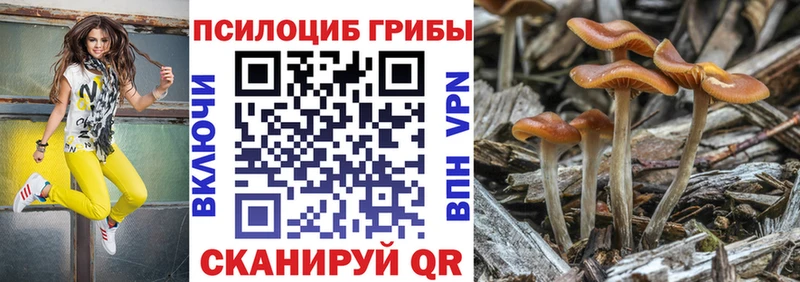 Псилоцибиновые грибы прущие грибы  hydra ССЫЛКА  Усть-Илимск 