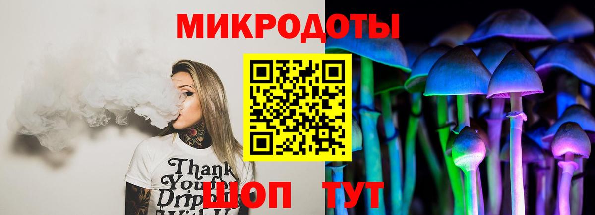 хочу наркоту  Вход с VPN  Усть-Илимск  Галлюциногенные грибы мухоморы 